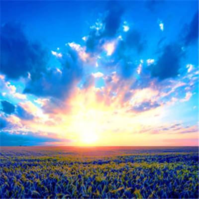 亚搏彩票app注册