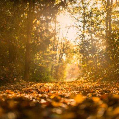 天天中彩票截图