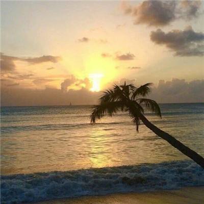 ag真人平台官方