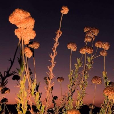 万博ManBetX客户端登录截图