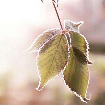 乐鱼全站官网在线登录截图