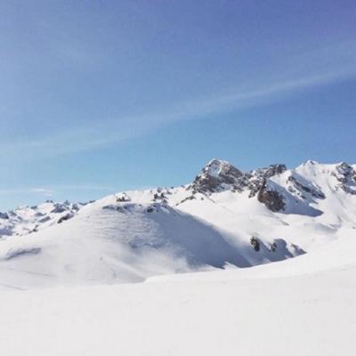 ManBetX客户端登录app下载